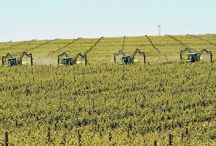 Sprayer-Espalier vineyards-Multi-wire-Power Multirow A Singola Calata Centralelt 1000 - Lt 1500 - Lt 2000